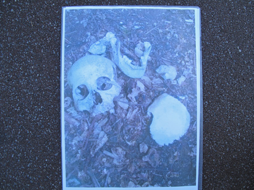 遺骨収集の様子20