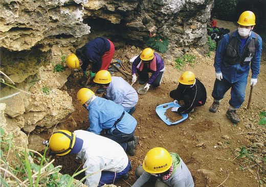 遺骨調査・収集の様子