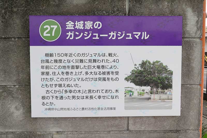 令和5年(2023年)2月15日/沖縄遺骨収集の様子no.