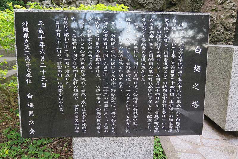令和3年(2021年)1月18日/沖縄遺骨収集の様子no.5