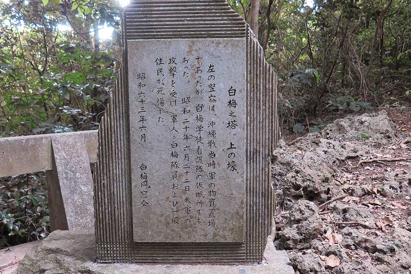 令和3年(2021年)1月18日/沖縄遺骨収集の様子no.60