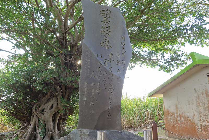 令和4年(2022年)1月16日/沖縄遺骨収集の様子no.64